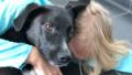 BILD-Hund Jule: Wer kocht mir einen Leberwurst-Tee?