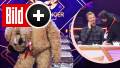 Bei „Masked Singer“ nicht im TV gesehen: Annemaries 6-Minuten-Trick und Jokos Anruf