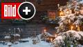 Österreich Hochrisikogebiet: Was heißt das für den Weihnachtsurlaub?