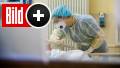 Laborärzte-Chef fordert: Omikron-Infizierte sollen Covid-Kranke betreuen