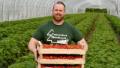 Erdbeer-Bauer Patrick: Kraftsportler zieht zarte Früchtchen
